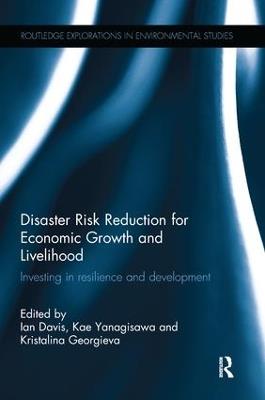 Disaster Risk Reduction for Economic Growth and Livelihood: Investing in Resilience and Development - cover