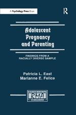 Adolescent Pregnancy and Parenting: Findings From A Racially Diverse Sample