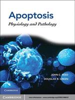 Apoptosis