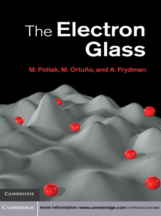 The Electron Glass
