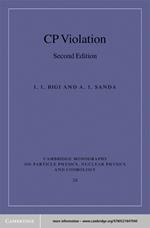 CP Violation