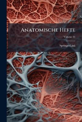 Anatomische Hefte; Volume 34 - Springerlink - cover