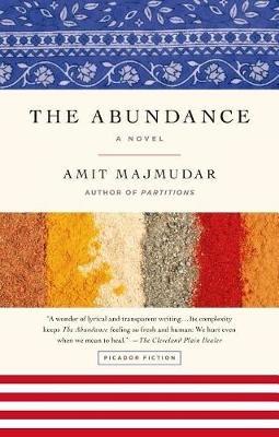 Abundance - Amit Majmudar - cover