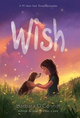 Wish - Barbara O'Connor - cover