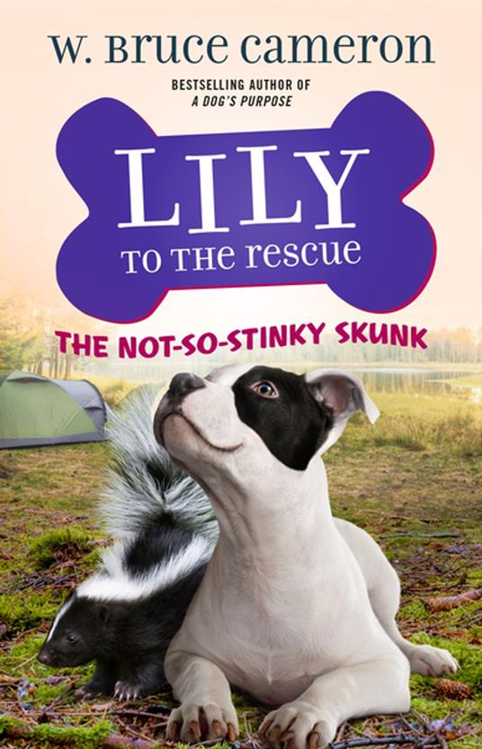 Lily to the Rescue: The Not-So-Stinky Skunk - Bruce Cameron W.,Jennifer L. Meyer - ebook
