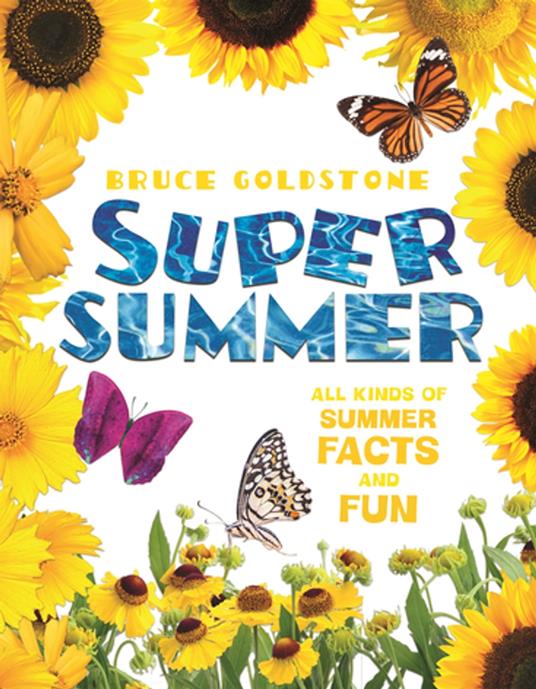 Super Summer - Bruce Goldstone - ebook