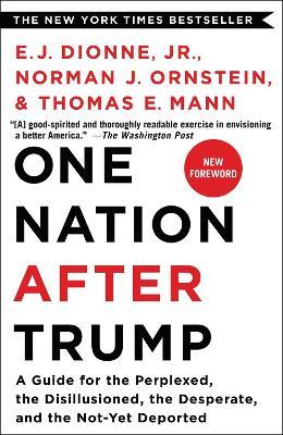 One Nation After Trump: A Guide for the Perplexed, the Disillusioned, the Desperate, and the Not-Yet Deported - E. J. Dionne Jr.,E. J. Dionne, Jr,E. J. Dionne Jr - cover