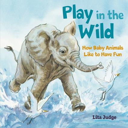 Play in the Wild - Lita Judge - ebook