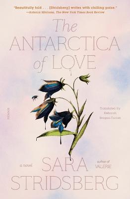 The Antarctica of Love - Sara Stridsberg - cover
