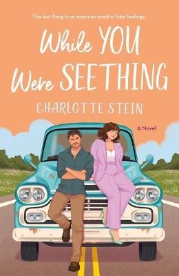 While You Were Seething - Charlotte Stein - cover