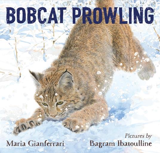 Bobcat Prowling - Maria Gianferrari,Bagram Ibatoulline - ebook