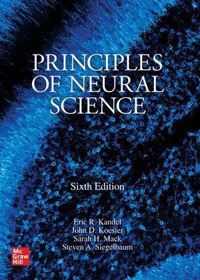 Principles of Neural Science, Sixth Edition - Eric Kandel,John D. Koester,Sarah H. Mack - cover