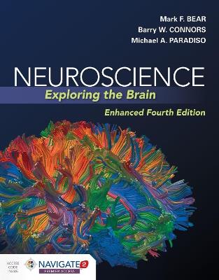 Neuroscience: Exploring The Brain, Enhanced Edition - Mark Bear,Barry Connors,Michael A. Paradiso - cover