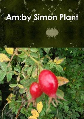 Am - Simon Plant - cover