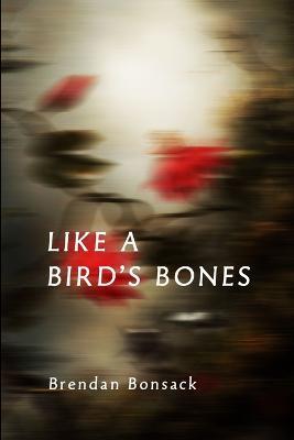 Like a Bird's Bones - Brendan Bonsack - cover