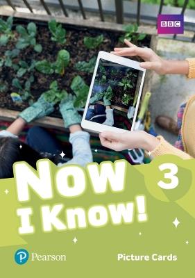 Now I Know - (IE) - 1st Edition (2019) - Picture Cards - Level 3 - Jeanne Perrett - cover