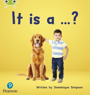 Bug Club Phonics - Phase 2 Unit 3: It is a ...? - Dominique Simpson - cover