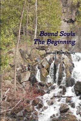 Bound Souls The Beginning - Joshua Ryan Donley - cover