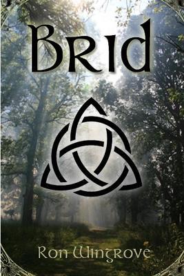 Brid - Ron Wingrove - cover