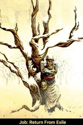 Job: Return From Exile: How can our suffering make sense? - Richard Loper - cover