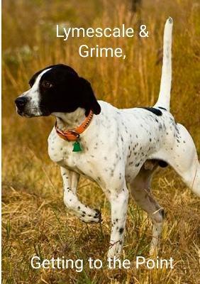 Lymescale & Grime, Getting to the Point: Lymescale & Grime Book 6 - Glyn Roy - cover