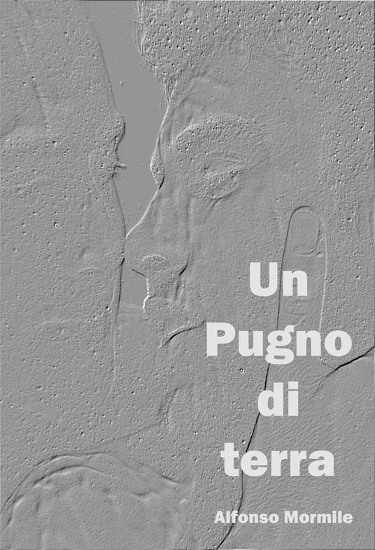 Un pugno di terra - Alfonso Mormile - ebook