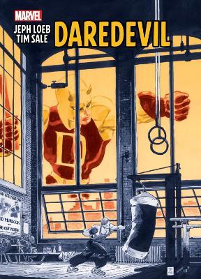 Jeph Loeb & Tim Sale: Daredevil - Jeph Loeb - cover