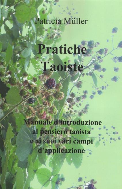 Pratiche taoiste. Manuale d'introduzione al pensiero taoista e ai suoi vari campi di applicazione - Patricia Müller - ebook