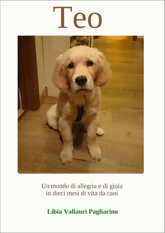 Teo - Libia Vallauri Pagliarino - ebook