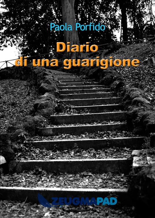 Diario di una guarigione - Paola Porfido - ebook