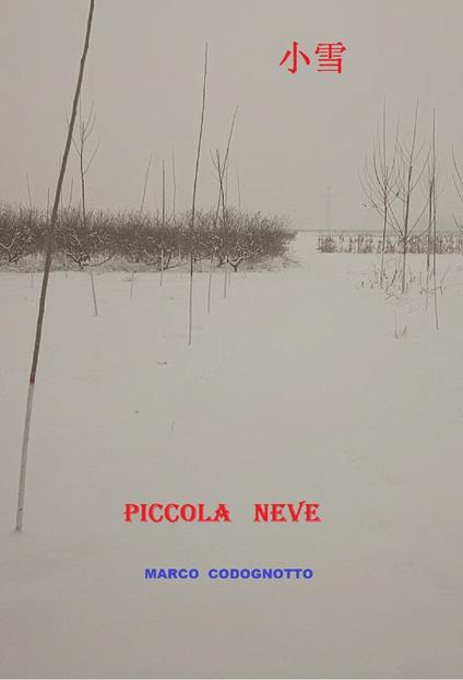 Piccola Neve - Marco Codognotto - ebook