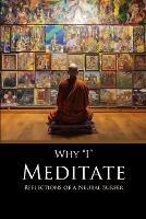 Why I Meditate: Reflections of a Neural Surfer - David Lane - cover