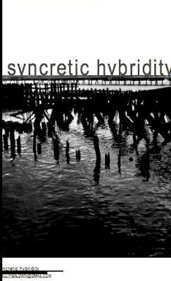 Syncretic Hybridity - Phillip Baldwin - cover