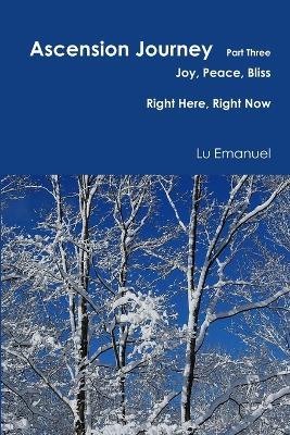 Ascension Journey - Part Three - Lu Emanuel - cover