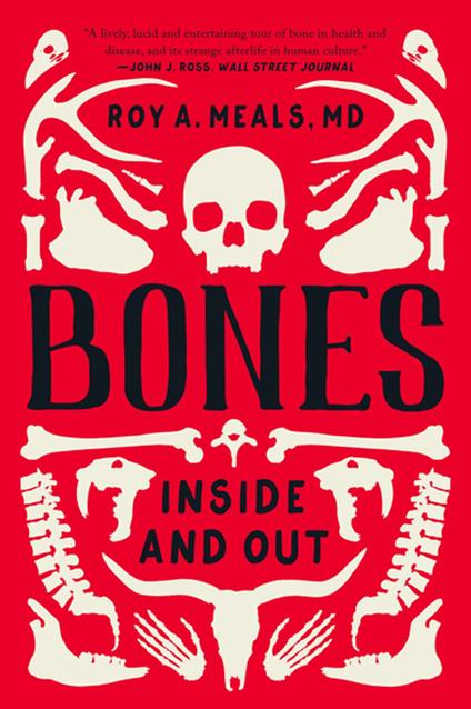 Bones