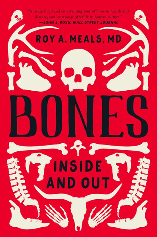 Bones