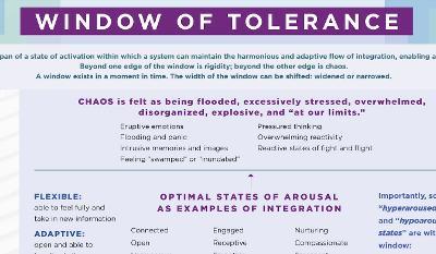 Window of Tolerance Laminated Card - Daniel J. Siegel - cover