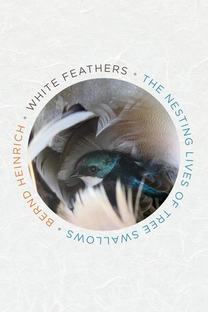 White Feathers