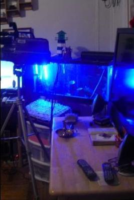 Mount Vernon, New York Collective of Books by: Nelson Norman Featured Chapters Like - Nelson Norman - cover