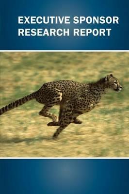 Executive Sponsor Research Report - James Johnson - cover