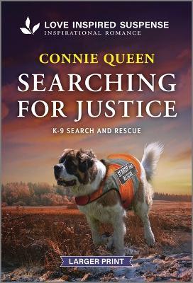 Searching for Justice - Connie Queen - cover