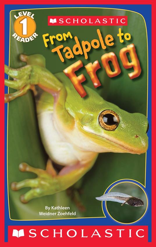 From Tadpole to Frog (Scholastic Reader, Level 1) - Kathleen Weidner Zoehfeld - ebook