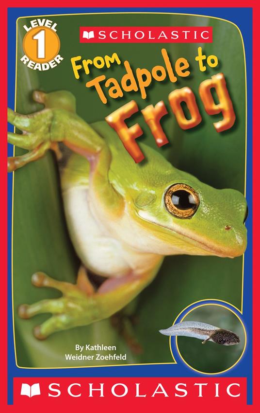 From Tadpole to Frog (Scholastic Reader, Level 1) - Kathleen Weidner Zoehfeld - ebook