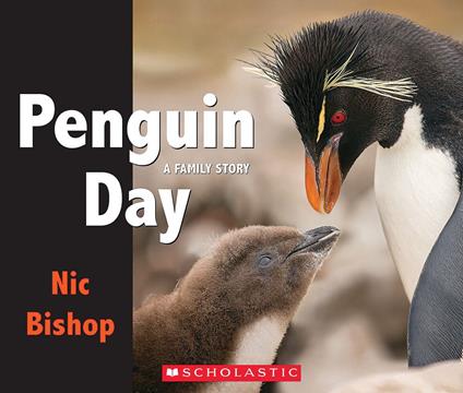 Penguin Day - Nic Bishop - ebook