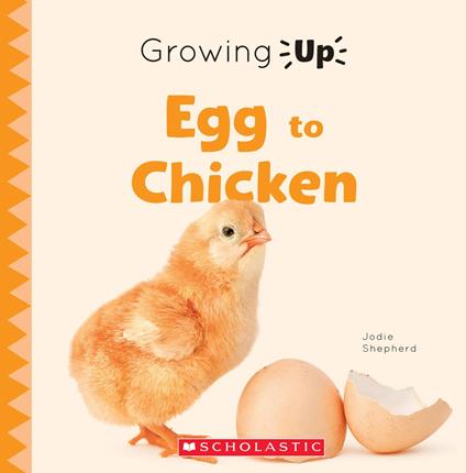 Egg to Chicken (Growing Up) - Jodie Shepherd - ebook