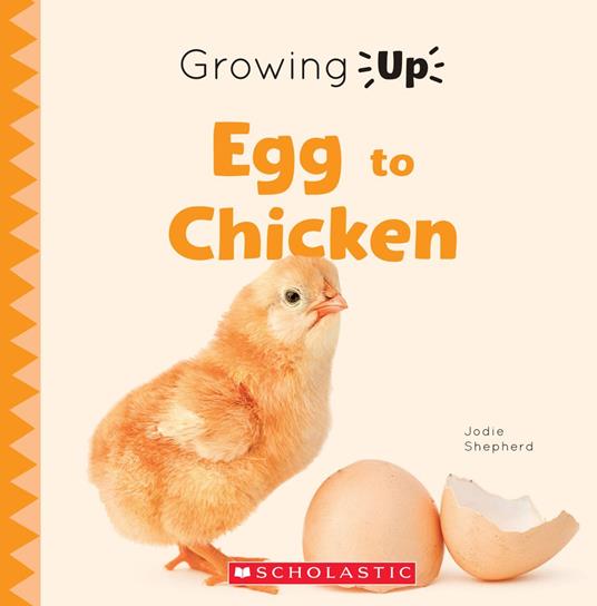 Egg to Chicken (Growing Up) - Jodie Shepherd - ebook