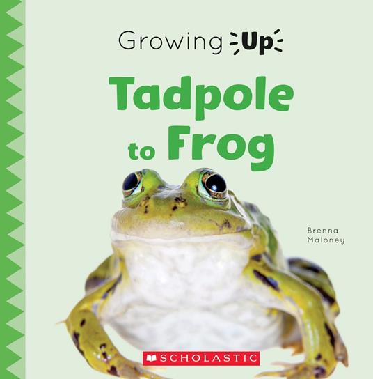 Tadpole to Frog (Growing Up) - Brenna Maloney - ebook