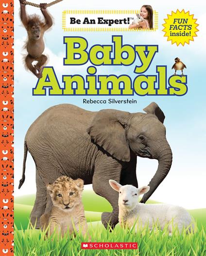 Baby Animals (Be an Expert!) - Rebecca Silverstein - ebook