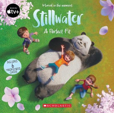Stillwater: A Perfect Fit - Meredith Rusu - cover