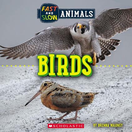 Birds (Wild World: Fast and Slow Animals) - Brenna Maloney - ebook